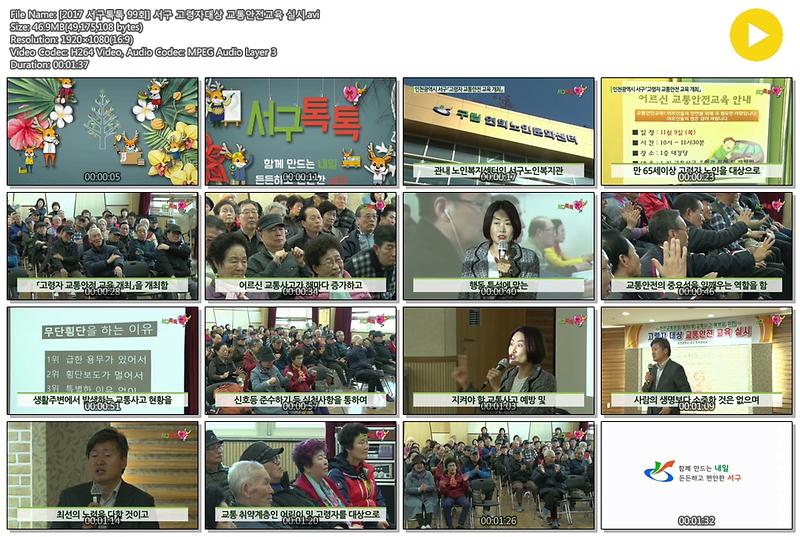 [2017 서구톡톡 99회] 서구 고령자대상 교통안전교육 실시 사진
